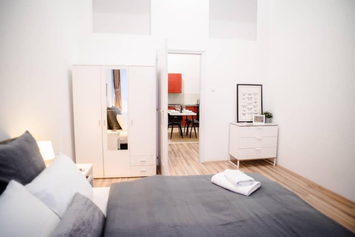Very Central Spacious Ac Apartment بودابست المظهر الخارجي الصورة